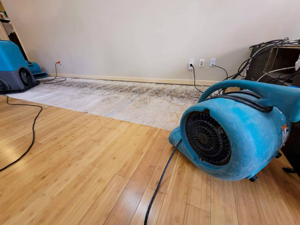 Professional Emergency Water Damage technician working in Canton, MI